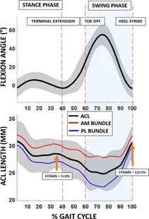 Force plate data