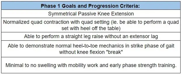 Phase 1 progression goals