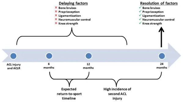 ACL return to sport timeline